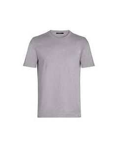 Gray-Tshirt