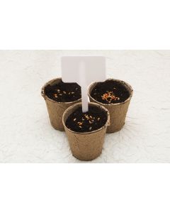 Biodegradable cardboard pots