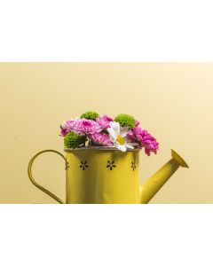 Yellow watering can