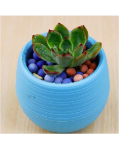 Gardening Flower Pots