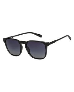 Wayfarer Sunglasses