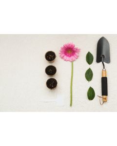 Gardening hand trowel