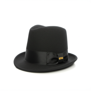 Stylish Fedora Hat